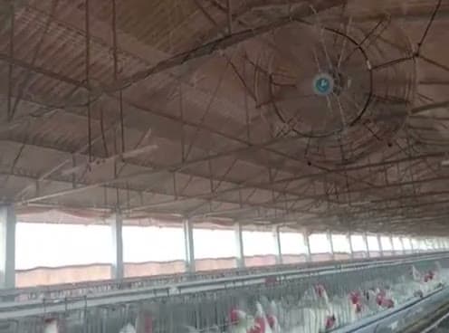 Misting Systems — clip 3